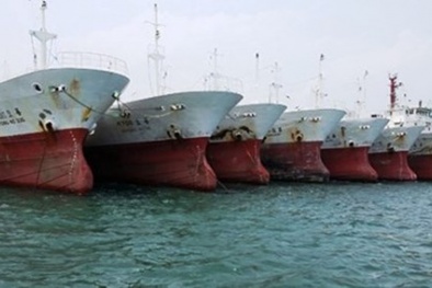 Nguyên Thứ trưởng Bộ Thủy sản: Hết sức thận trọng với dự án mua 100 tàu cá